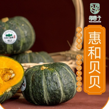那园子 惠和贝贝南瓜