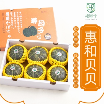 那园子 惠和贝贝南瓜