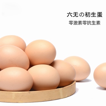 A级六无初生蛋 30